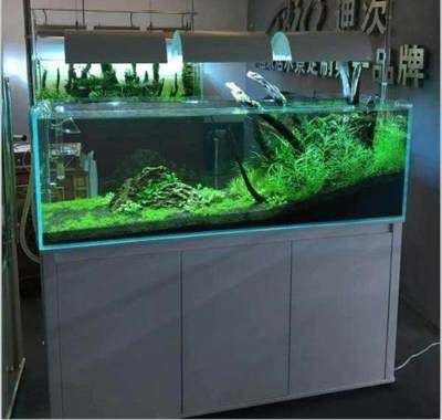 風(fēng)水魚魚缸的尺寸多大（怎么選擇風(fēng)水魚魚缸的尺寸）