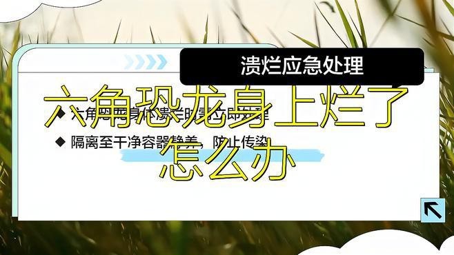 六角龍魚爛爪子怎么回事