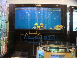 國內魚缸排名（2024年國內外魚缸品牌排名：閩江水族器材排名）