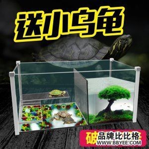 國內魚缸排名（2024年國內外魚缸品牌排名：閩江<strong><mark>水族器材</mark></strong>排名）