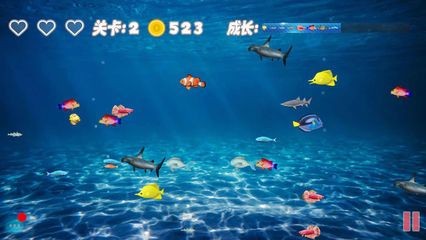 游戲魚缸：關(guān)于游戲魚缸的介紹