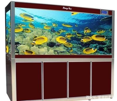 魚缸濾盒都放什么：關于魚缸濾盒的擺放 魚缸濾盒都放什么：關于魚缸濾盒的擺放 魚缸百科 第3張
