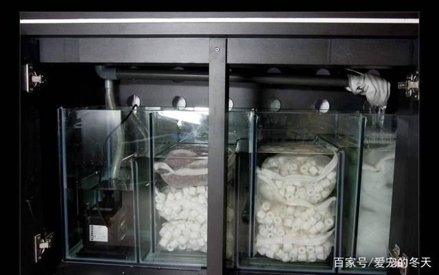 魚缸濾盒都放什么：關于魚缸濾盒的擺放 魚缸濾盒都放什么：關于魚缸濾盒的擺放 魚缸百科 第4張