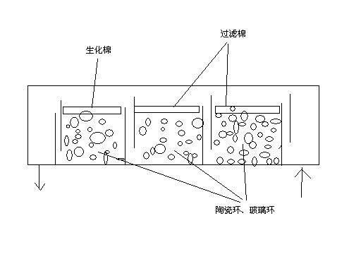 魚缸濾盒都放什么：關于魚缸濾盒的擺放 魚缸濾盒都放什么：關于魚缸濾盒的擺放 魚缸百科 第5張