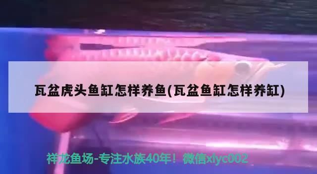 北京慶榮中翼水族店