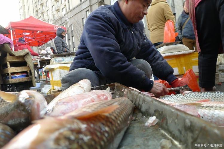 天津龍魚價格最新行情走勢圖片 龍魚百科 第5張 天津龍魚價格最新行情走勢圖片 天津龍魚價格最新行情走勢圖片 龍魚百科 第5張