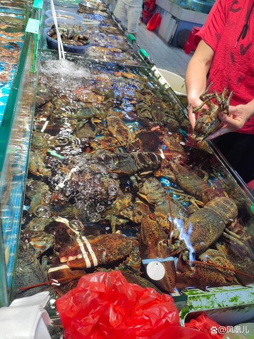 天津龍魚價格最新行情走勢圖片 龍魚百科 第10張 天津龍魚價格最新行情走勢圖片 天津龍魚價格最新行情走勢圖片 龍魚百科 第10張