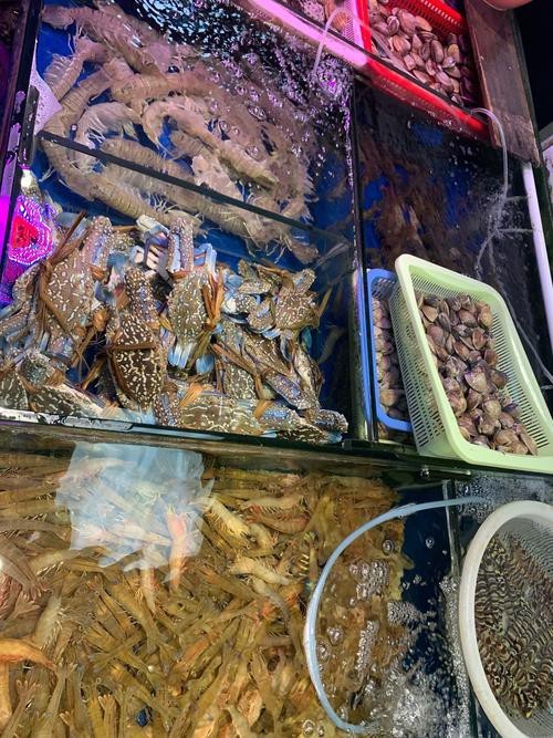 天津龍魚價格最新行情走勢圖片 龍魚百科 第17張 天津龍魚價格最新行情走勢圖片 天津龍魚價格最新行情走勢圖片 龍魚百科 第17張