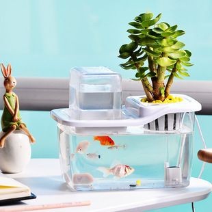 共生魚缸：新型魚缸造景設計