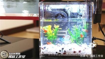 魚缸電源位置怎么留：如何為魚缸選擇合適的電源位置