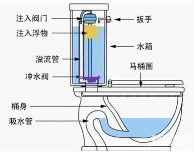 虹吸原理是一種利用液面高度差的作用力現象的運作機制：虹吸原理在建筑設計中的應用