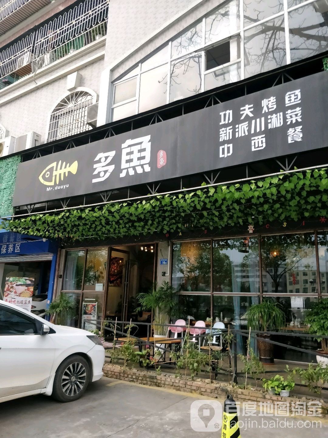 惠州賣六角龍魚的地方在哪里啊 惠州賣六角龍魚的地方在哪里啊 龍魚百科 第1張