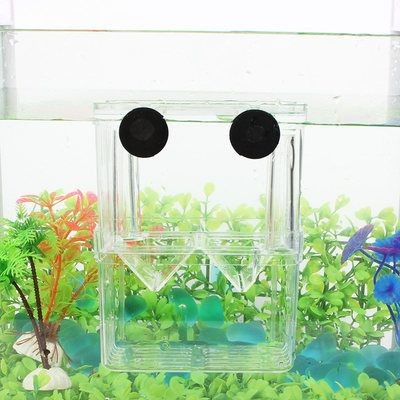 小魚未來智能魚缸：小魚未來智能魚缸優勢