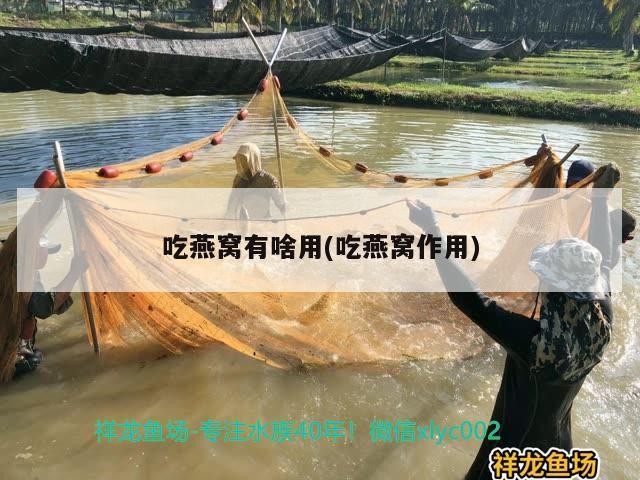 灤平縣灤平鎮(zhèn)諾琦花卉店