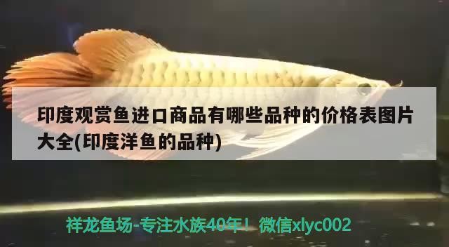 灤平縣灤平鎮(zhèn)諾琦花卉店