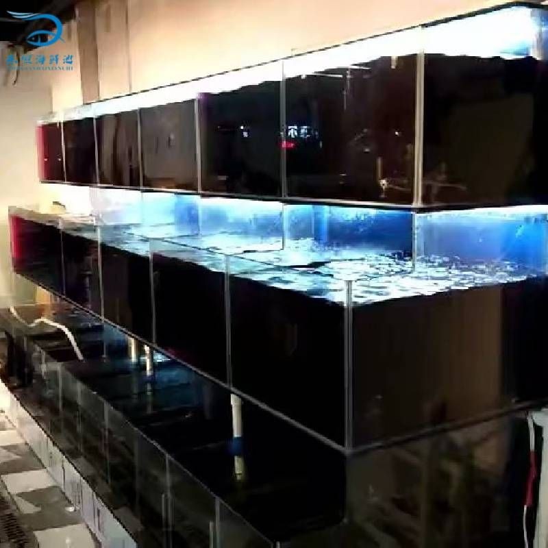 魚缸定制效果圖（魚缸定制效果圖是設計師將設計理念轉化為實際效果的重要工具） 魚缸定制效果圖（魚缸定制效果圖是設計師將設計理念轉化為實際效果的重要工具） 魚缸百科 第1張