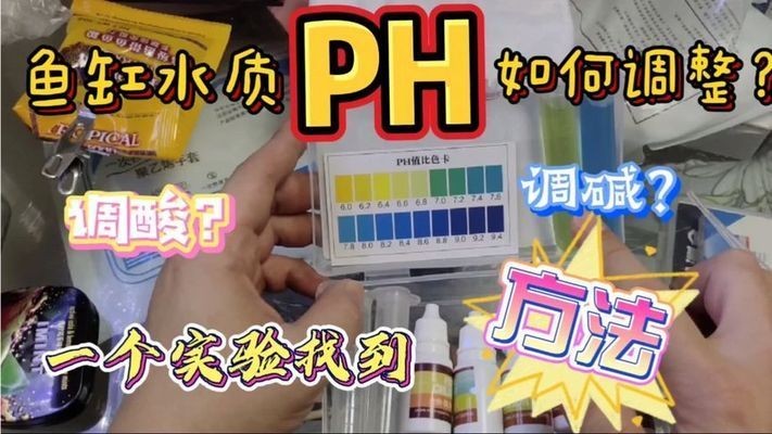 如何控制BD魟魚缸內pH值：bd魟魚適宜的ph值范圍,如何監測魚缸內的ph值 如何控制BD魟魚缸內pH值：bd魟魚適宜的ph值范圍,如何監測魚缸內的ph值 魚缸百科 第2張