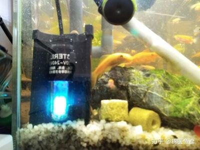 自然生態魚缸清潔誤區在重新養魚之前了解魚缸清潔誤區至關重要：清洗很久沒用的魚缸重新養魚的方法和注意事項