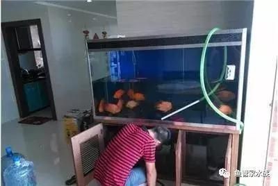 自然生態魚缸清潔誤區在重新養魚之前了解魚缸清潔誤區至關重要：清洗很久沒用的魚缸重新養魚的方法和注意事項