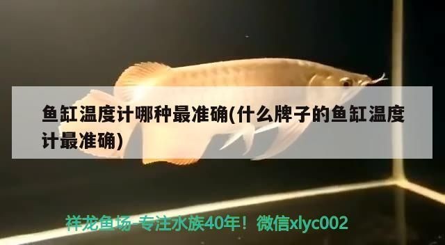 如何選擇合適的魚缸溫度計：選擇合適的魚缸溫度計是確保水族箱健康的關鍵步驟之一