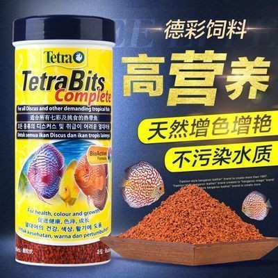 紅龍福龍魚的最佳做法
