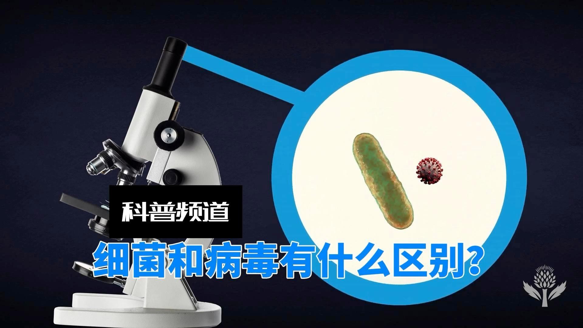 細菌感染和病毒感染的區別