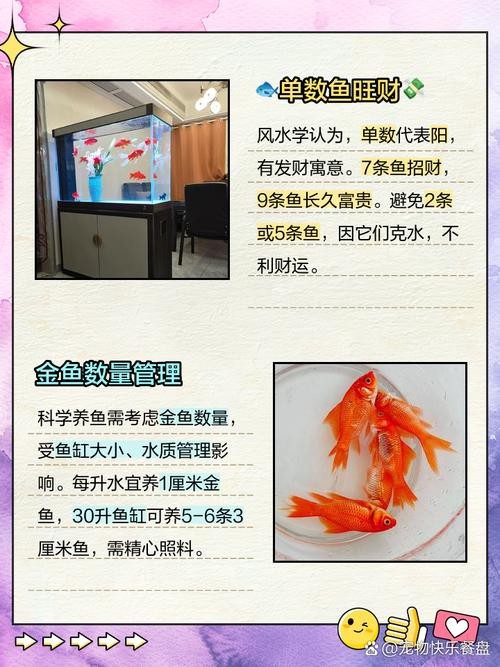 金魚混養最佳搭配圖