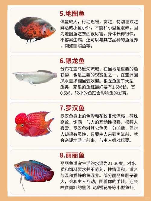 金魚混養最佳搭配圖