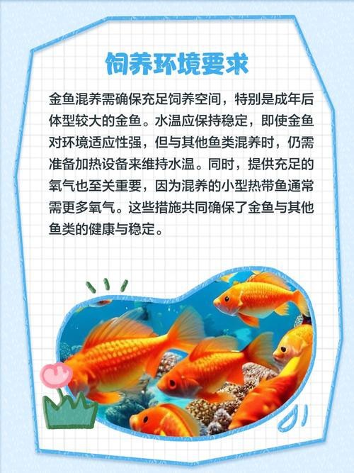 金魚混養最佳搭配圖