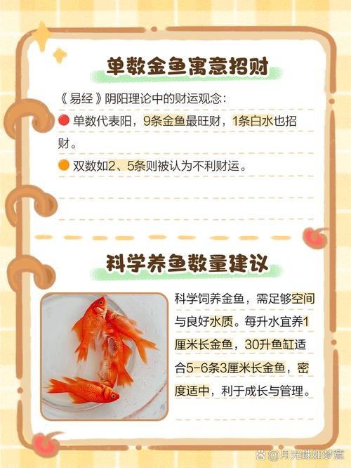 金魚混養最佳搭配圖