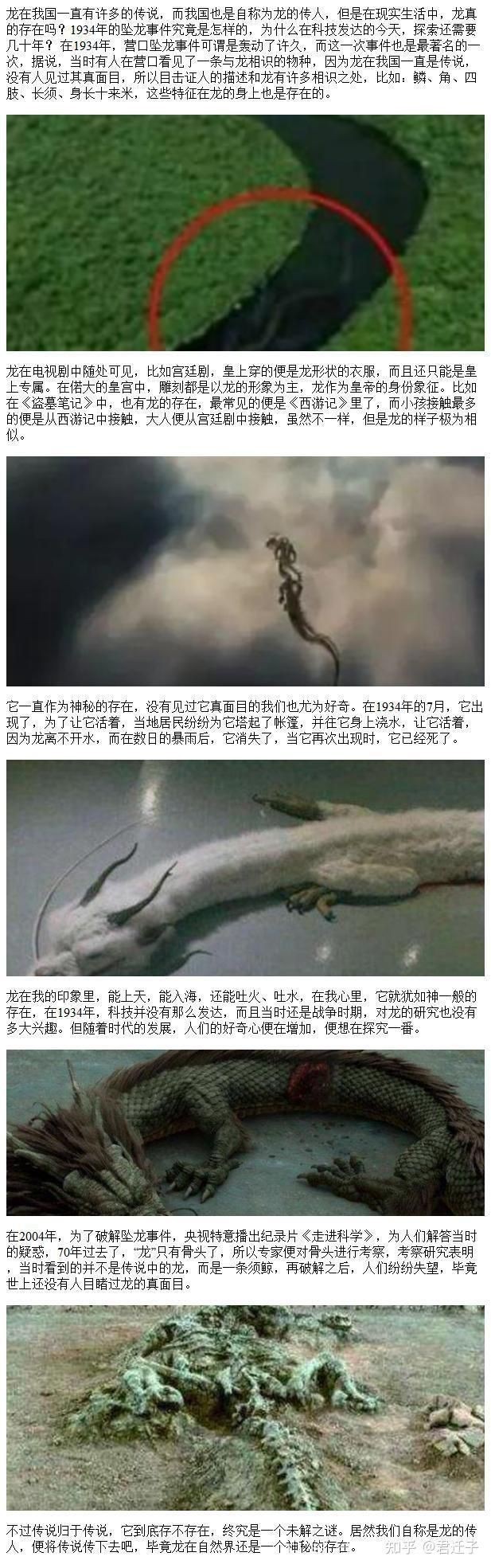 紅眼白子招財龍正確答案