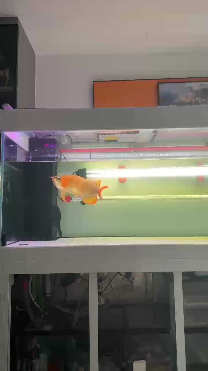 ！