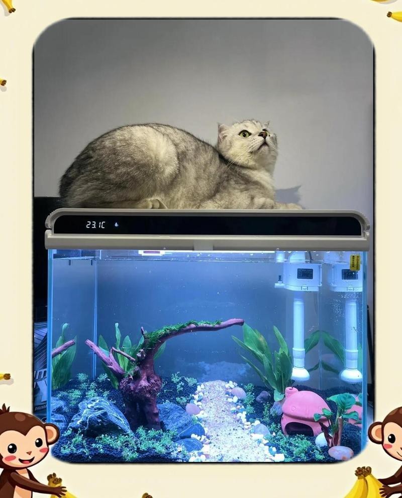 森森魚缸拆裝教程圖解