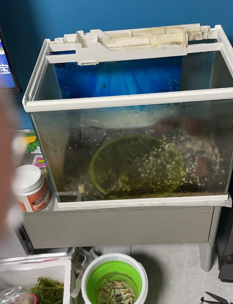 森森魚缸拆裝教程圖解