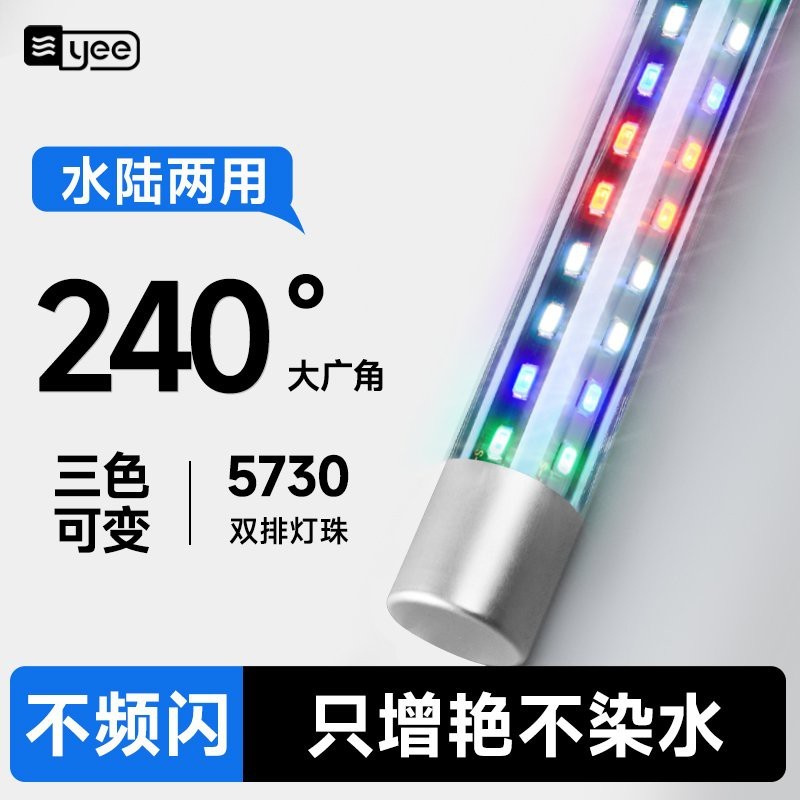 給我一份白子招財龍魚日常養護 checklist，白子招財龍魚養護指南