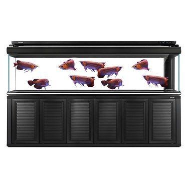 龍魚缸什么牌子好一點耐用(2024年魚缸十大品牌排行榜) 龍魚百科 第1張 龍魚缸什么牌子好一點耐用(2024年魚缸十大品牌排行榜) 龍魚缸什么牌子好一點耐用(2024年魚缸十大品牌排行榜) 龍魚百科 第1張