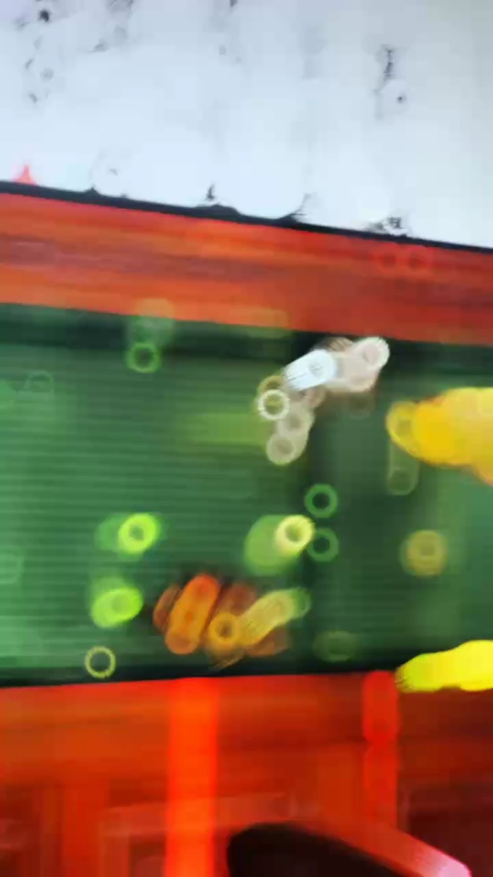 龍魚李亞四