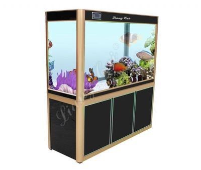 亮彩魚缸價格：亮彩魚缸搭配設備推薦,亮彩魚缸造景技巧