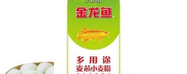 陽江市江城區粵陽錦水族館（陽江市江城區粵陽錦水族館電話）