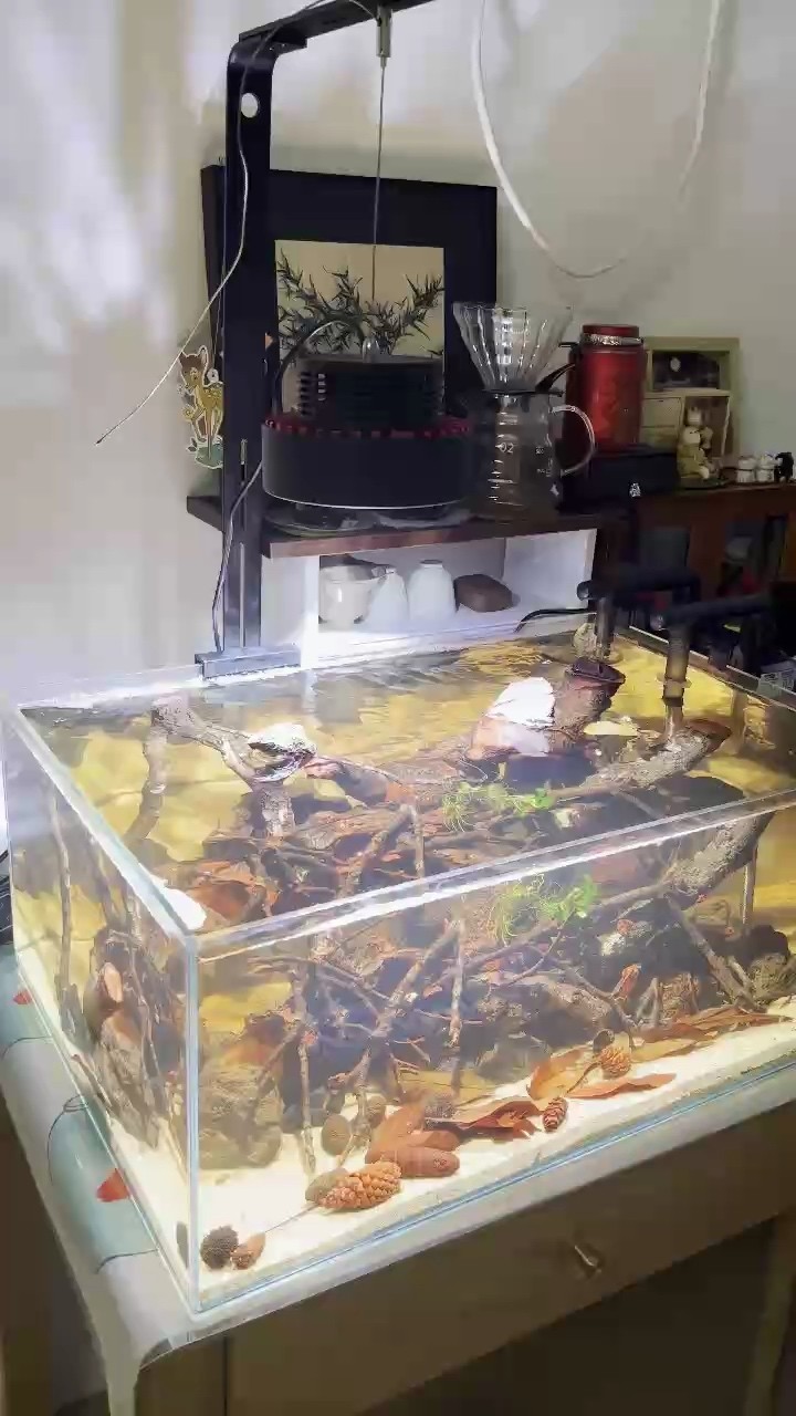 好久不見，我回來了