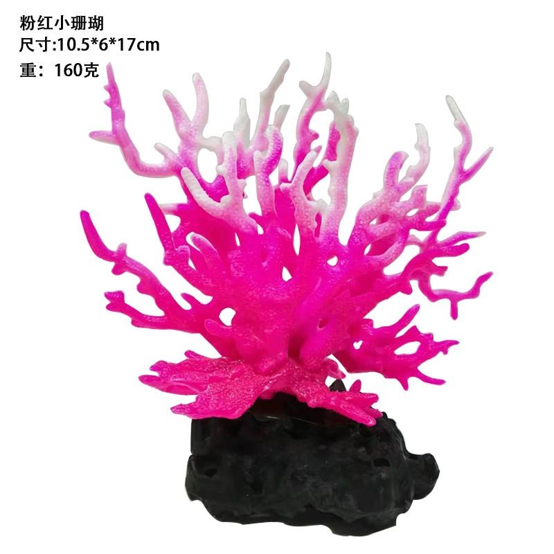 紅珊瑚魚缸造景指南海洋生物攝影指南海洋生物攝影指南：海洋生物攝影技巧