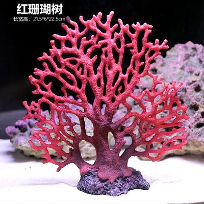 紅珊瑚魚缸造景指南海洋生物攝影指南海洋生物攝影指南：海洋生物攝影技巧