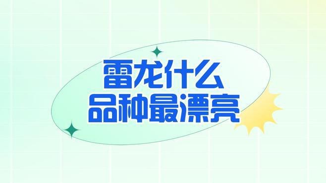 哪種雷龍魚最漂亮