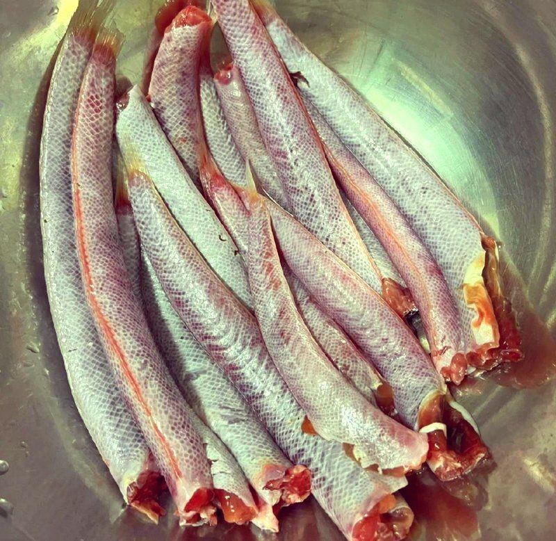 紅血魚學名