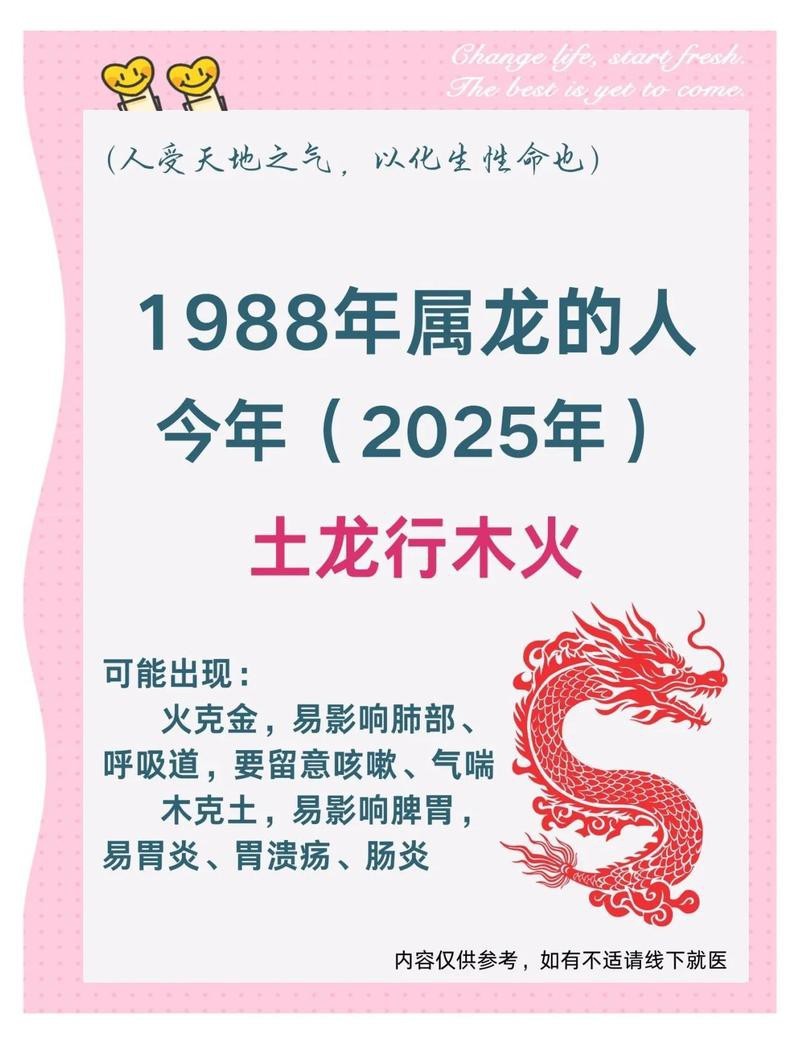 誰最旺屬龍的人呢