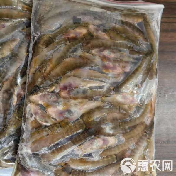 金龍魚 外企（金龍魚是一家外企）