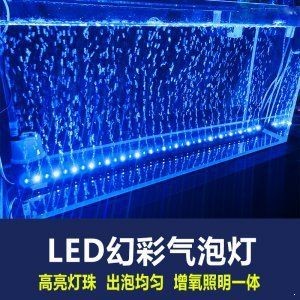 龍魚燈哪個品牌好（十大魚缸燈產品排行榜之一的魚缸照明燈led防水全光譜）