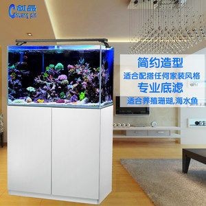 魚缸底濾的設計是如何演化的：底濾魚缸底濾的創新設計是如何維護魚缸底濾的創新設計