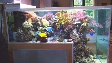 風(fēng)景水族魚缸設(shè)計背后的藝術(shù)哲學(xué)魚缸設(shè)計圖的制作需要綜合考慮：風(fēng)景水族魚缸設(shè)計圖的制作