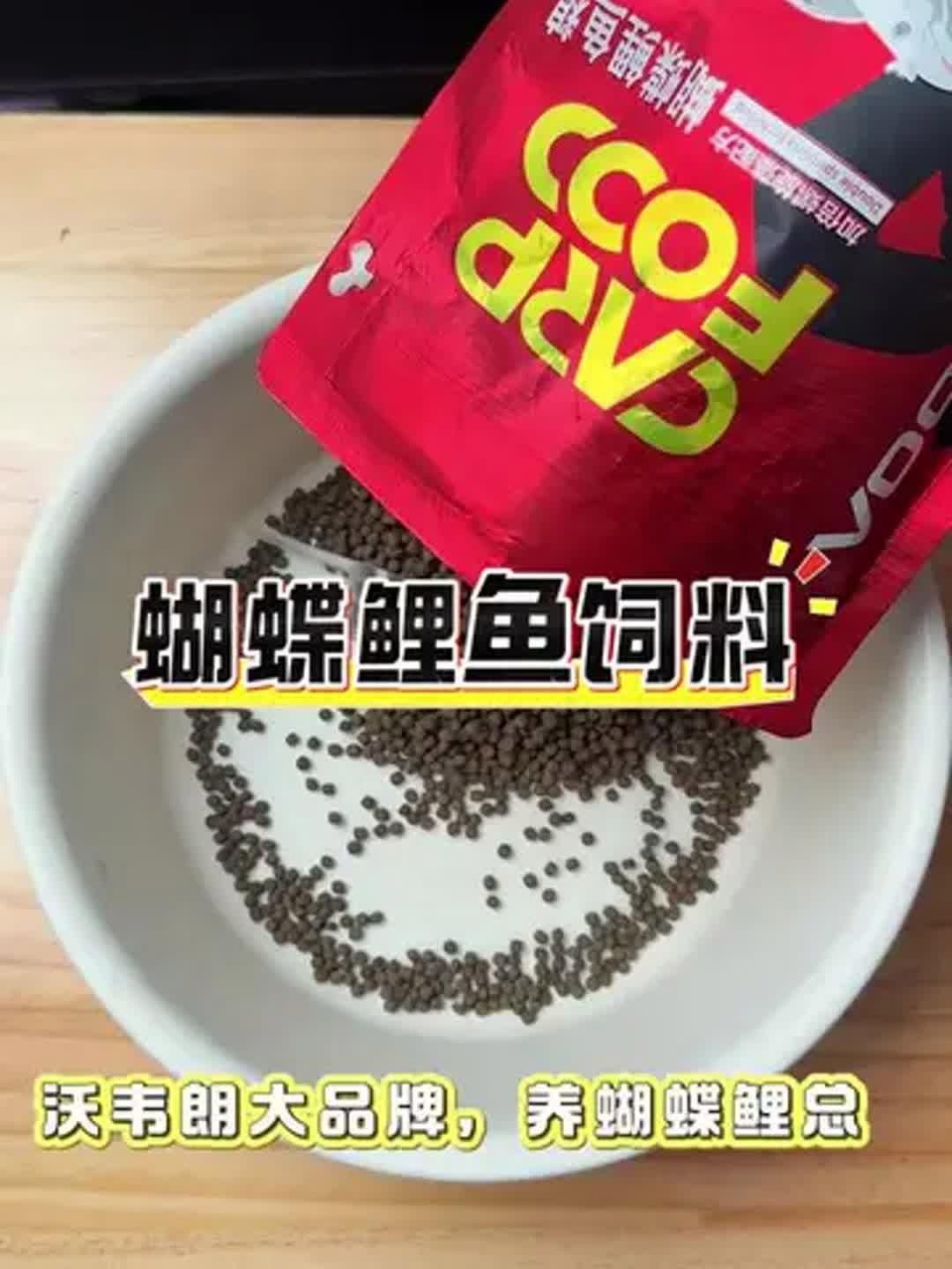 蝴蝶鯉魚食哪個牌子好 蝴蝶鯉魚食哪個牌子好 龍魚論壇 第3張